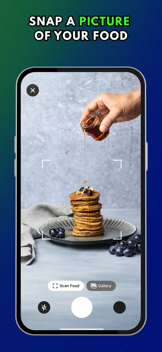 Meal photo analysis